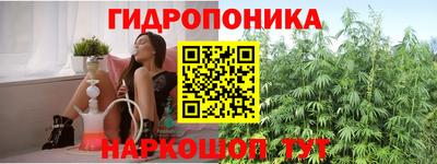Альфа ПВП Гусев