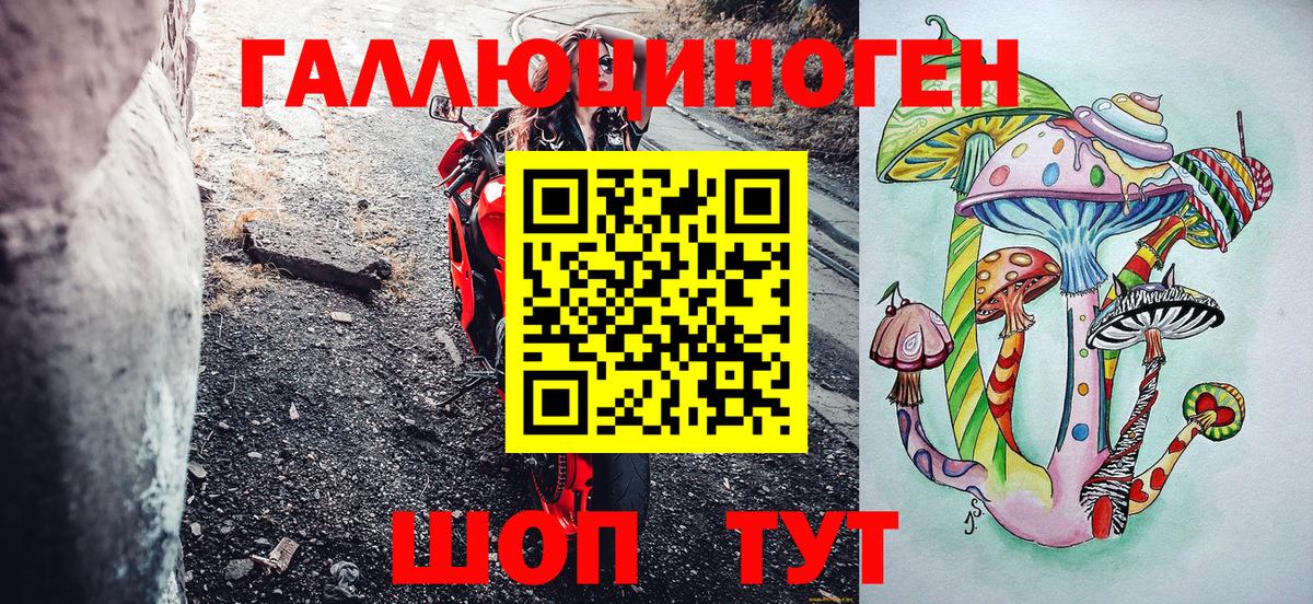 Долгопрудный  Галлюциногенные грибы GOLDEN TEACHER  Вход с VPN 