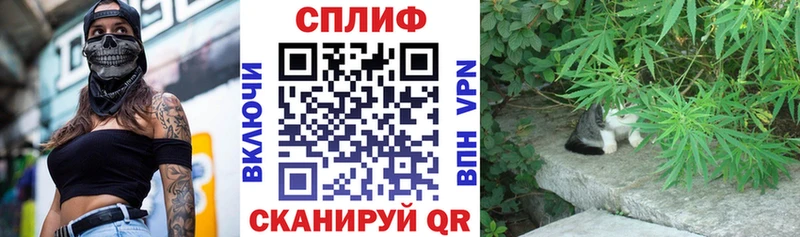Бошки Шишки ГИДРОПОН Долгопрудный